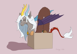 Size: 3508x2480 | Tagged: safe, artist:ardilya, character:discord, oc:eris, species:draconequus, adoreris, behaving like a cat, box, cozy, cute, happy, if i fits i sits, in a box, noodle, pink background, rule 63, rule63betes, simple background, white hair