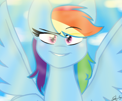 Size: 844x700 | Tagged: safe, artist:sirena-flitter, character:rainbow dash, species:pegasus, species:pony, female, solo