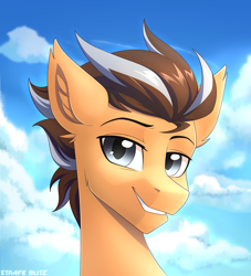 Size: 1700x1870 | Tagged: safe, artist:strafe blitz, oc, oc only, oc:brightsky wing, species:pony, bust, looking at you, male, smiling, solo, stallion