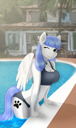 Size: 3000x5000 | Tagged: safe, artist:jerraldina, oc, oc only, oc:snow pup, species:anthro, species:pegasus, species:pony, bikini, clothing, collar, leaning, leaning forward, one eye closed, poolside, swimsuit, wink, winking at you