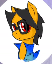 Size: 1477x1837 | Tagged: safe, artist:a.s.e, oc, oc only, oc:a.s.e, species:pony, bust, clothing, glasses, looking at you, male, smiling, solo, stallion
