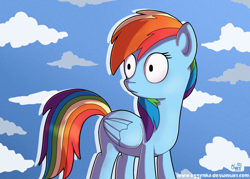 Size: 1400x1000 | Tagged: safe, artist:oggynka, character:rainbow dash, species:pegasus, species:pony, female, mare, reaction image, solo, wide eyes