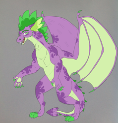 Size: 1897x1995 | Tagged: safe, artist:nightshade2004, character:spike, species:dragon, alternate design, gray background, male, older, simple background, solo, winged spike
