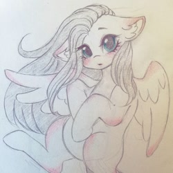 Size: 1080x1080 | Tagged: dead source, safe, artist:mayguay, character:fluttershy, species:pegasus, species:pony, blushing, cute, ear fluff, eyelashes, female, floppy ears, lineart, looking at you, makeup, mare, open mouth, shyabetes, solo, spread wings, traditional art, wings