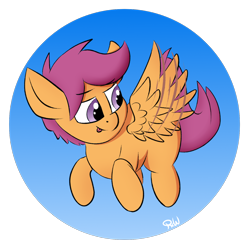 Size: 1800x1800 | Tagged: safe, artist:ponyxwright, character:scootaloo, species:pegasus, species:pony, newbie artist training grounds, atg 2020, cute, cutealoo, female, filly, flying, scootaloo can fly, solo