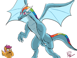 Size: 2000x1500 | Tagged: safe, artist:frostclaw, character:rainbow dash, character:scootaloo, species:dragon, newbie artist training grounds, atg 2020, simple background, white background