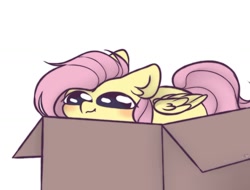 Size: 1280x975 | Tagged: safe, artist:mariashapony, character:fluttershy, species:pegasus, species:pony, behaving like a cat, box, cute, ear fluff, female, if i fits i sits, mare, pony in a box, shyabetes, simple background, solo, white background
