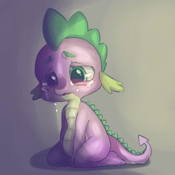 Size: 1080x1080 | Tagged: dead source, safe, artist:mayguay, character:spike, species:dragon, episode:owl's well that ends well, g4, my little pony: friendship is magic, crying, kneeling, male, sad, solo