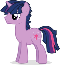 Size: 1280x1397 | Tagged: safe, artist:bigsnusnu, character:twilight sparkle, oc:dusk shine, species:pony, species:unicorn, male, rule 63, simple background, solo, stallion, transparent background, vector