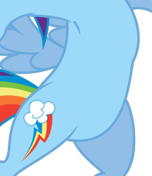 Size: 2604x3013 | Tagged: safe, artist:emberfiremane, edit, character:rainbow dash, species:pegasus, species:pony, episode:may the best pet win, g4, my little pony: friendship is magic, belly, bipedal, cropped, featureless crotch, female, high res, pictures of bellies, puffed chest, simple background, solo, transparent background, vector, vector edit, wings
