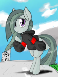 Size: 720x960 | Tagged: safe, artist:a.s.e, character:marble pie, species:pony, clothing, female, impressed, mare, solo