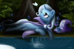 Size: 3000x2000 | Tagged: safe, artist:wojtovix, character:trixie, species:pony, species:unicorn, butterfly, female, high res, solo