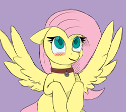 Size: 2048x1832 | Tagged: safe, artist:nevermore228, character:fluttershy, species:pegasus, species:pony, g4, blushing, collar, female, flutterpet, pet tag, pony pet, solo