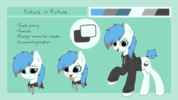Size: 2560x1440 | Tagged: safe, artist:keupoz, oc, oc only, oc:picture in picture, species:earth pony, species:pony, g4, beauty mark, clothing, commission, earth pony oc, female, hoodie, mare, reference sheet, simple background, tail wrap, text, tongue out