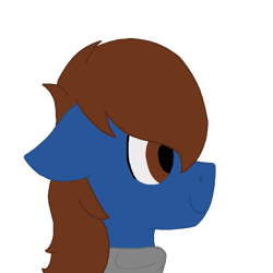 Size: 673x673 | Tagged: safe, artist:derpy_the_duck, oc, oc:derp, species:earth pony, species:pony, g4, clothing, male, simple background, smiling, solo, stallion, transparent background