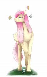 Size: 1920x3136 | Tagged: safe, artist:chao-xing, character:fluttershy, species:pegasus, species:pony, g4, butterfly, female, insect, mare, simple background, solo, white background
