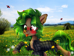 Size: 1450x1100 | Tagged: safe, artist:meqiopeach, oc, oc only, oc:ame, species:earth pony, species:pony, g4, art, birthday gift, blushing, clothing, commission, digital art, drawing, earth pony oc, full body, grass, happy, heterochromia, insect, ladybug, lying down, nature, photo, realistic, shirt, sky, solo, tongue out, ych example, ych result