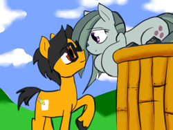 Size: 960x720 | Tagged: safe, artist:a.s.e, character:marble pie, oc, oc:a.s.e, species:pony, g4, canon x oc, couple, female, glasses, happy, heart pony, looking at each other, love, male, shipping