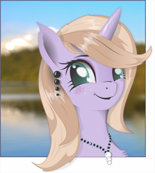 Size: 1894x2122 | Tagged: safe, artist:aquilateagle, oc, oc:lilac atropina, species:pony, species:unicorn, g4, outside the borders, solo, vector
