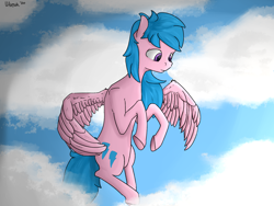 Size: 2000x1500 | Tagged: safe, artist:uteuk, character:firefly, species:pegasus, species:pony, g1, cloud, sky, wings