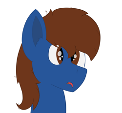 Size: 1380x1280 | Tagged: safe, artist:derpy_the_duck, oc, oc:derp, species:earth pony, species:pony, g4, clothing, reaction image, simple background, solo