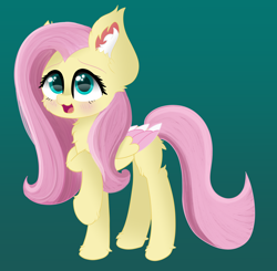 Size: 5656x5552 | Tagged: safe, artist:windykirin, character:fluttershy, species:pegasus, species:pony, g4, absurd resolution, blushing, cheek fluff, chest fluff, colored wings, cute, ear fluff, female, leg fluff, multicolored wings, open mouth, shyabetes, simple background, solo, wings