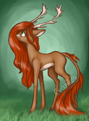 Size: 2435x3317 | Tagged: safe, artist:cvanilda, oc, oc only, species:deer, g4, antlers, signature, solo
