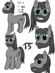 Size: 1500x2000 | Tagged: safe, artist:kickassking, oc, oc only, oc:perigrim pi, species:earth pony, species:pony, g4, beard, facial hair, pencil drawing, simple background, solo, traditional art, transparent background