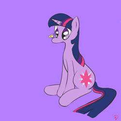 Size: 3600x3600 | Tagged: safe, artist:s8ansglory, character:twilight sparkle, butterfly, moth