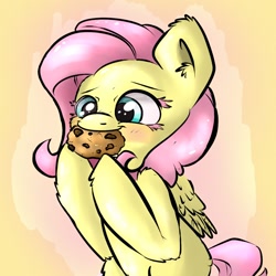 Size: 1200x1200 | Tagged: safe, artist:angelwing314, character:fluttershy, cookie, cute, eating, female, fluffy, shyabetes, solo