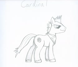 Size: 2023x1758 | Tagged: safe, artist:tyrellus, oc, oc only, monochrome, ponified, sketch, solo