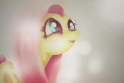 Size: 975x650 | Tagged: safe, artist:fra-92, character:fluttershy, species:pegasus, species:pony, g4, female, looking up, mare, photoshop, solo