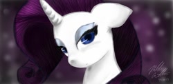 Size: 1024x501 | Tagged: safe, artist:bookxworm89, character:rarity, female, portrait, solo
