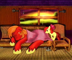 Size: 900x753 | Tagged: safe, artist:chaosdrop, character:apple bloom, character:big mcintosh, species:earth pony, species:pony, g4, blanket, brother and sister, filly, male, sleeping, stallion, sunset