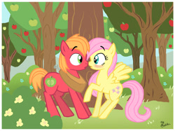 Size: 600x448 | Tagged: safe, artist:thephoebster, character:big mcintosh, character:fluttershy, species:earth pony, species:pony, ship:fluttermac, blushing, colt, filly, imminent kissing, male, shipping, stallion, straight