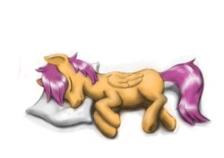 Size: 1023x723 | Tagged: safe, artist:steamroller988, character:scootaloo, species:pegasus, species:pony, g4, female, filly, pillow, simple background, sleeping, solo