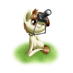 Size: 2000x2000 | Tagged: safe, artist:renatethepony, character:featherweight, camera, cute, featherbetes, male, solo