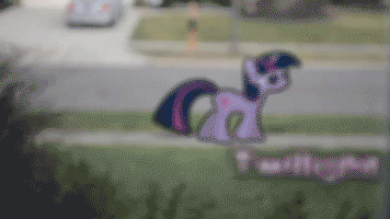 Size: 356x200 | Tagged: safe, artist:oppositebros, character:twilight sparkle, animated, irl, photo, ponies in real life, street