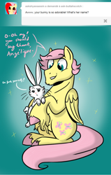 Size: 720x1131 | Tagged: safe, artist:ordinarydraw, artist:when-we-say-goodbye, character:angel bunny, character:fluttershy, angela bunny, ask, ask buttahscotch, butterscotch, hooves, rule 63, tumblr, unshorn fetlocks, vulgar