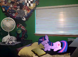 Size: 1442x1047 | Tagged: safe, artist:alerkina2, artist:mysteriousbrony, character:twilight sparkle, bed, binder, book, fan, irl, photo, plushie, ponies in real life, sleeping, solo, vector