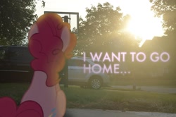 Size: 1500x994 | Tagged: safe, artist:oppositebros, character:pinkie pie, species:pony, car, depressed, irl, photo, ponies in real life, sad, sitting, solo, sun, sunlight, tree, van, yard