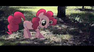 Size: 300x168 | Tagged: safe, artist:oppositebros, character:pinkie pie, species:earth pony, species:pony, animated, behaving like a dog, cute, diapinkes, digging, grass, ground, irl, photo, ponies in real life, puppy pie, scratching