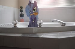 Size: 2464x1632 | Tagged: safe, artist:oppositebros, character:princess luna, species:alicorn, species:pony, bathtub, brush, brushie brushie, cute, female, irl, lunabetes, mare, photo, ponies in real life, s1 luna, solo, vector, woona