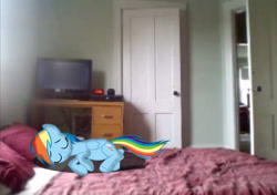 Size: 1432x1010 | Tagged: safe, artist:alerkina2, character:rainbow dash, fanfic:my little dashie, bed, cute, dashabetes, irl, photo, ponies in real life, sleeping, solo