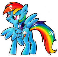 Size: 900x883 | Tagged: safe, artist:cobracookies, character:rainbow dash, species:pegasus, species:pony, female, mare, raised hoof, simple background, smiling, solo, traditional art, white background