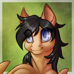 Size: 500x500 | Tagged: safe, artist:chubby-kirin, oc, oc only, species:pegasus, species:pony, bust, female, mare, solo