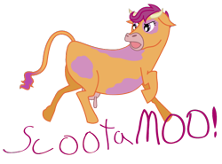 Size: 674x500 | Tagged: safe, artist:gimpcowking, character:scootaloo, species:cow, cowified, scootamoo, species swap, udder