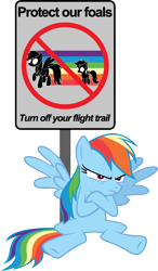 Size: 6000x10285 | Tagged: safe, artist:yoshimon1, character:rainbow dash, character:scootaloo, absurd resolution, crossed arms, sign, simple background, transparent background