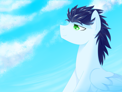 Size: 4000x3000 | Tagged: safe, artist:sparkle-bubba, character:soarin', male, solo
