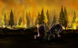 Size: 1920x1200 | Tagged: safe, artist:dcpip, character:fluttershy, arson, fire, forest, forest fire